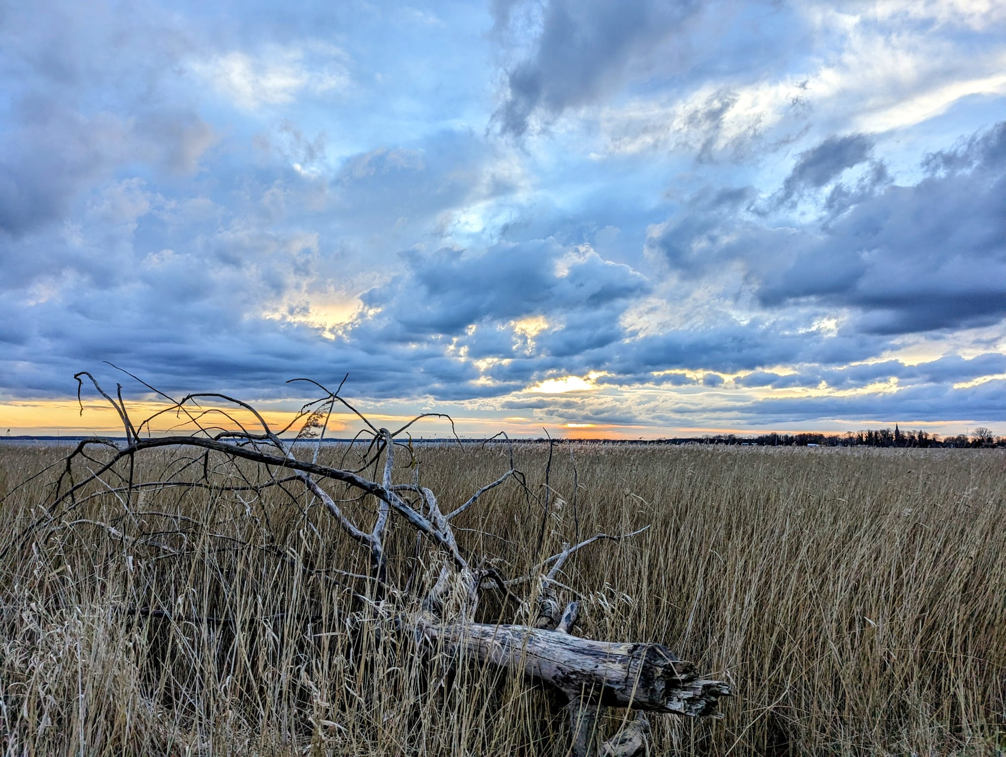 trauerwege-usedom.de